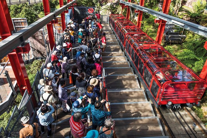 Private Guided Tour: Blue Mountains Tour from Sydney - Wentworth Falls and the National Pass walk option