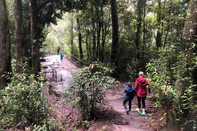 Private Guided Tour from Sydney to Blue Mountains National Park - Price and Value: When a Private Day Makes Sense