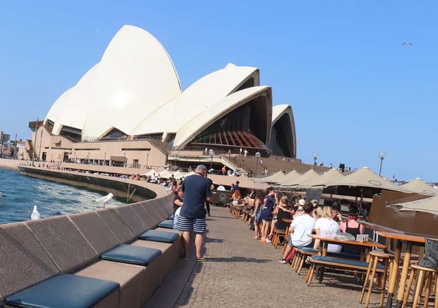 Private Half Day Sydney City Tour - Chinatown to Darling Harbour: getting your bearings fast