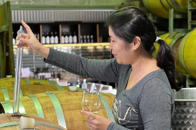 Private Hunter Valley Luxury Tour From Sydney - Lunch and food choices: build your Hunter Valley day around comfort, not rules