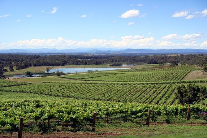 Private Hunter Valley Wine-Tasting Day Tour from Sydney - Key things you should know before you go