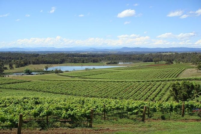 Private Hunter Valley Wine-Tasting Day Tour from Sydney - Luxury car comfort on a long day trip