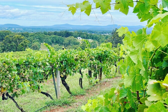 Private Hunter Valley Wine Tasting Tour from Sydney - A private Hunter Valley day built around your wine preferences