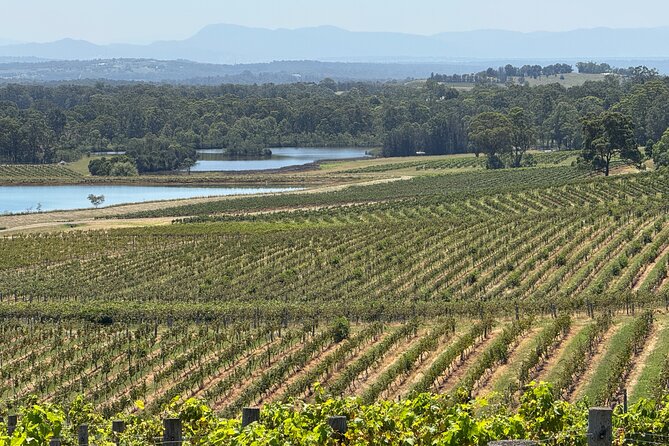 Private Hunter Valley Wine Tasting Tour from Sydney - Value and price: what you are really paying for at $465.49