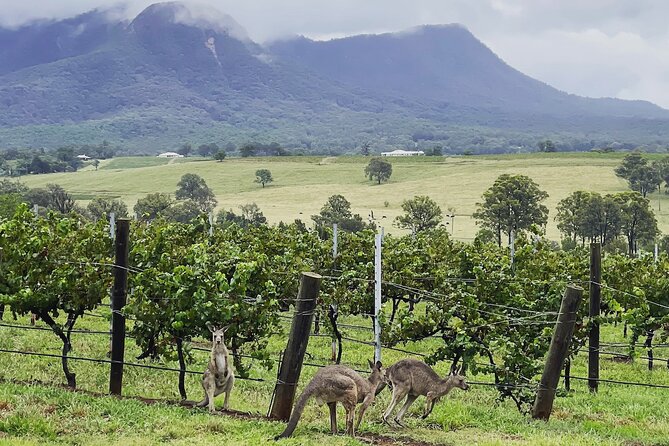 Private Hunter Valley Wine Tasting Tour from Sydney - Wollombi town stop, or trade it for another winery