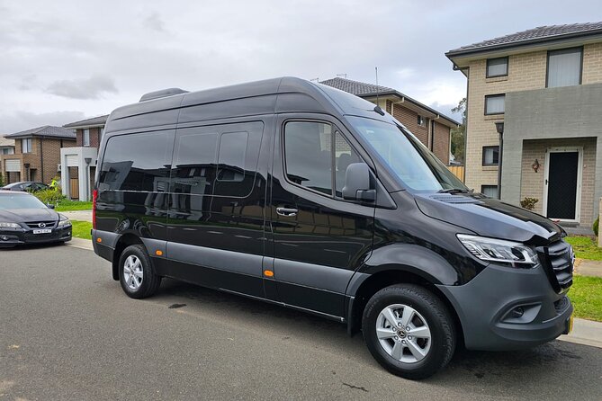 Private Luxury Blue Mountain Tour with Wildlife and River Cruise - Leura Mall for lunch or high tea, plus a chance to reset