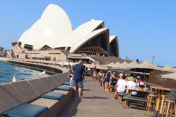Private Luxury Half Day Sydney City Tour - Private luxury comfort and a route that fits 4.5 hours