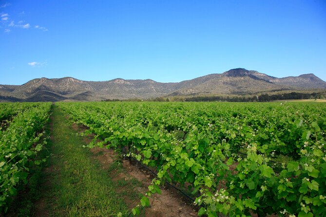 Private Luxury Tour: Tastes of the Hunter Valley - Café Enzo lunch: Tuscan-inspired calm in the middle of tasting time