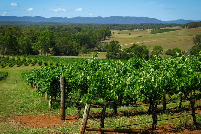 Private Luxury Tour: Tastes of the Hunter Valley - Price and value: what $758.13 buys you in the Hunter Valley