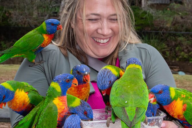 Private Nature Escape Tour 2 Days in Sydney - Coastline tastes: chocolate, Avoca Beach, and a lookout for flying foxes