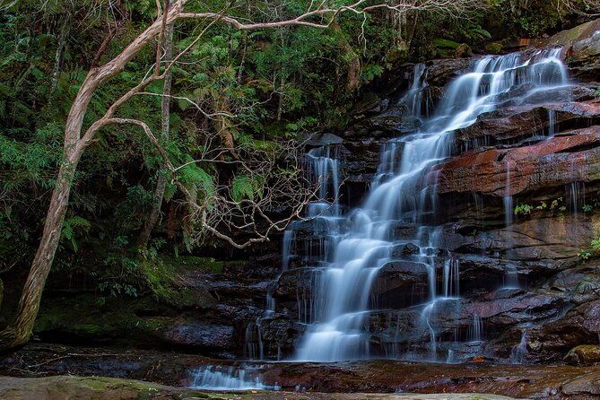 Private Nature Escape Tour 2 Days in Sydney - The Lotus Pod stay: where you recharge after a full day