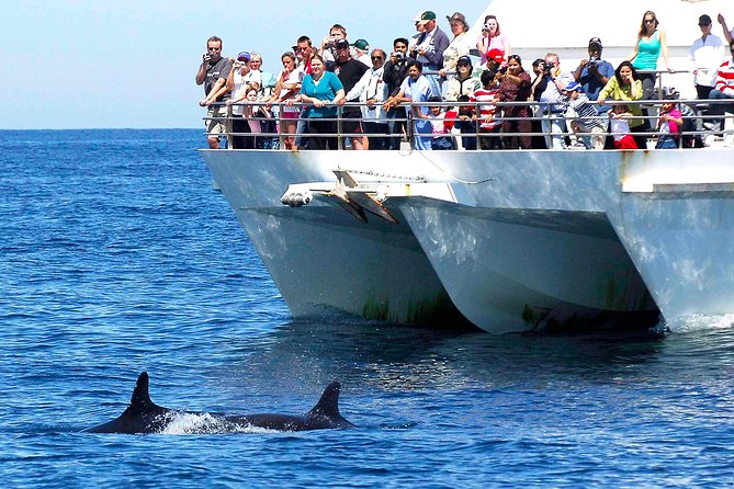 Private Port Stephens Day Trip from Sydney incl Dolphin Cruise - Why Port Stephens feels worth the 11-hour day from Sydney