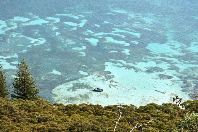 Private Port Stephens Day Trip from Sydney incl Dolphin Cruise - Stockton Sand Dunes: sandboarding time, plus optional dune thrills