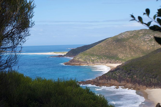 Private Port Stephens Day Trip from Sydney incl Dolphin Cruise - Nelson Bay dolphin cruise: decks, boom net, and marine life spotting