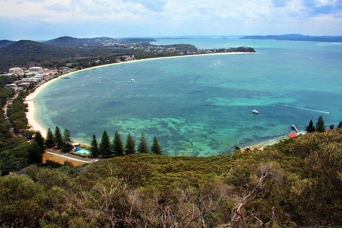 Private Port Stephens Day Trip from Sydney incl Dolphin Cruise - Price and value: what $559.45 per person really buys