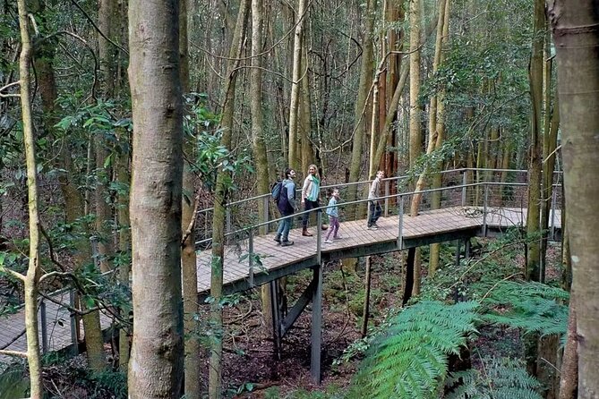 Private Small Group Tour in Blue Mountains - Price and value for a private group up to 11
