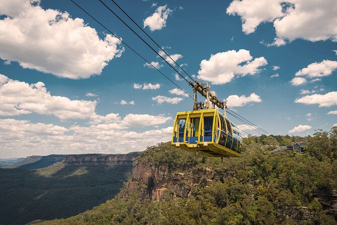 Private Small Group Tour in Blue Mountains - Wildlife chances: kangaroos and koalas, plus smart ways to see them