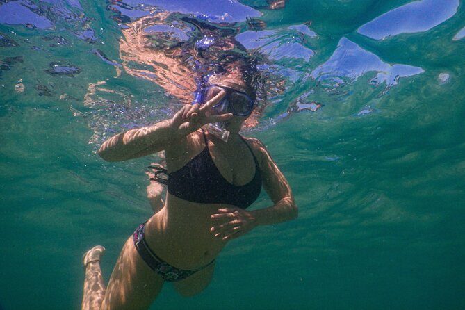 Private Snorkeling Tour In Sydney's Marine Reserve - A route based on recent marine activity, not guesswork