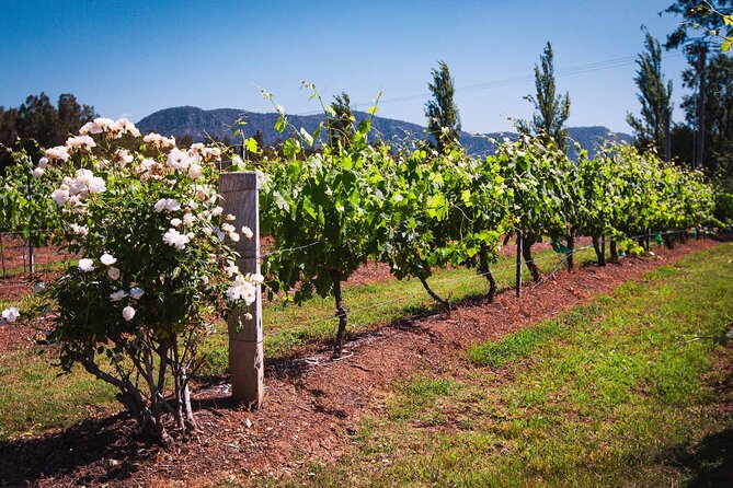 Private Southern Highlands Luxury Wine Indulgence Tour - Key highlights to know before you go