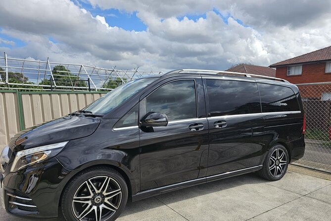 Private Sydney Airport-Sydney CBD, Sydney City, Cruise Terminal - Groups, Families, and Luggage: Who This Transfer Fits Best