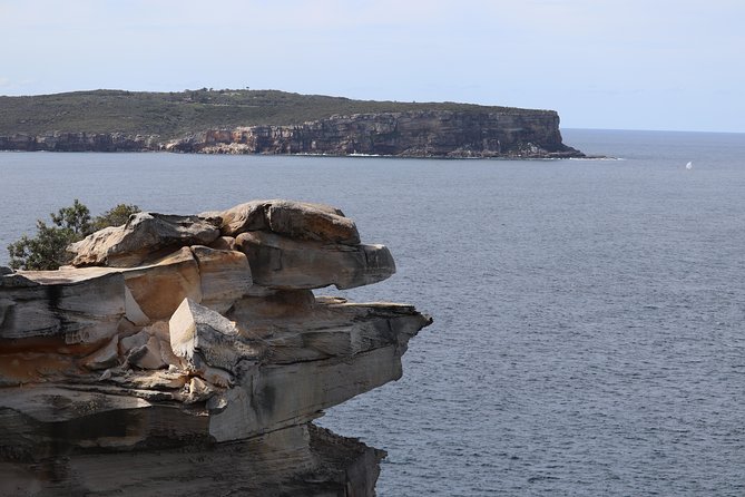 Private Sydney City and Bondi Beach Half Day Tour - Mrs Macquarie’s Chair and The Gap: the headland payoff