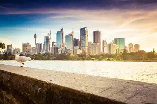 Private Sydney City and Bondi Beach Half Day Tour - Oxford Street and Darling Harbour: shopping and waterfront variety