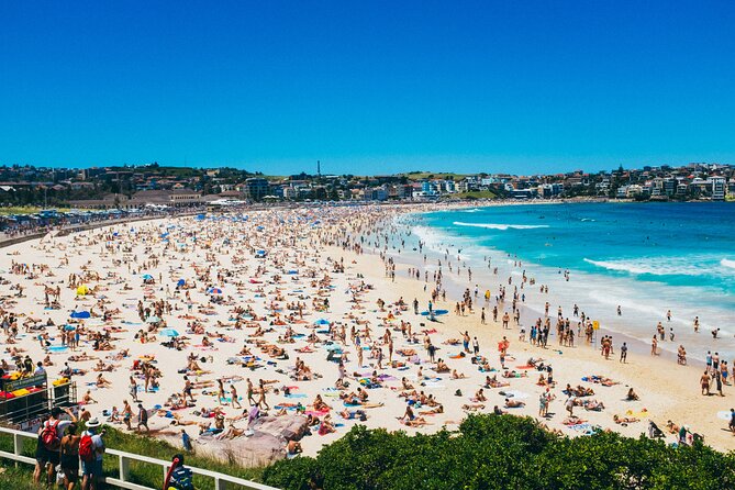 PRIVATE Sydney City Bondi Beach Opera House & Botanic Garden Tour - Pickup, timing, and how the day usually feels