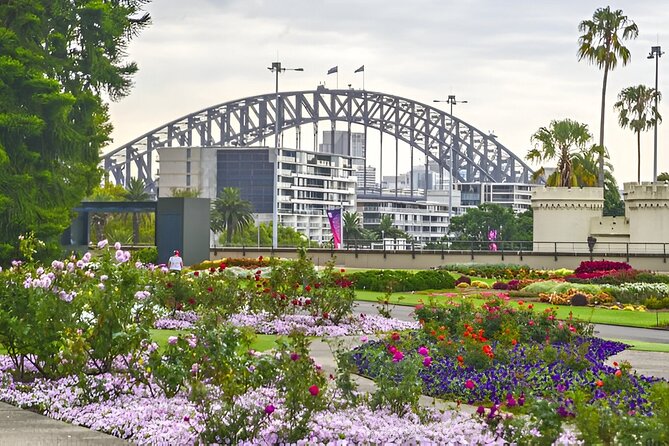 PRIVATE Sydney City Bondi Beach Opera House & Botanic Garden Tour - Mrs Macquarie’s Chair and the Royal Botanic Garden: harbour views with a slower rhythm