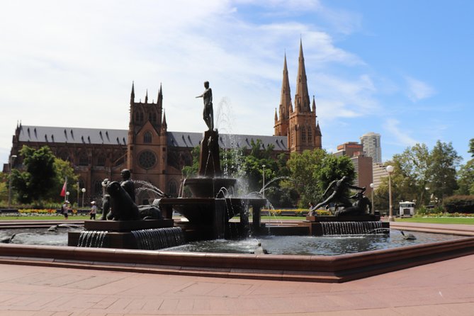 Private Sydney City Customized Tour - Optional add-ons: Tower Eye or Featherdale, and how to choose