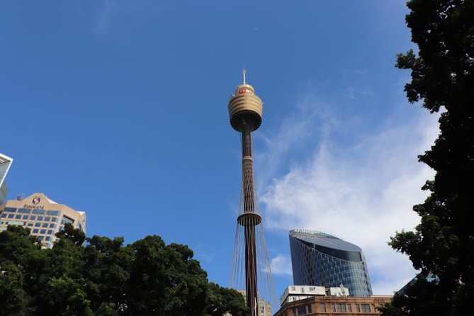 Private Sydney City Customized Tour - Price and logistics: what you are really paying for