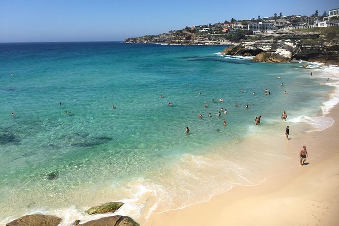 Private Sydney City Tour: The Key Attractions - Bondi Beach: when to choose a walk and when to stay chill