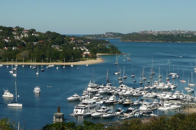 Private Sydney City Tour: The Key Attractions - Centennial Park to Chinatown, then The Rocks and Darling Harbour