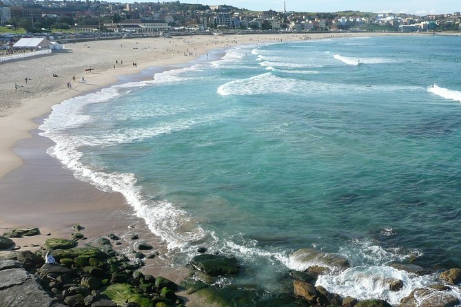 Private Sydney City Tour: The Key Attractions - Pickup, luxury comfort, and how the day actually moves