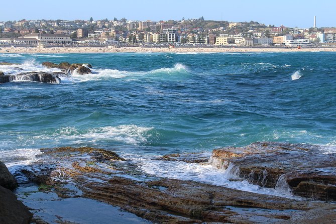Private Sydney Discovery Tour - The Rocks and Milsons Point: the “start here” Sydney foundation