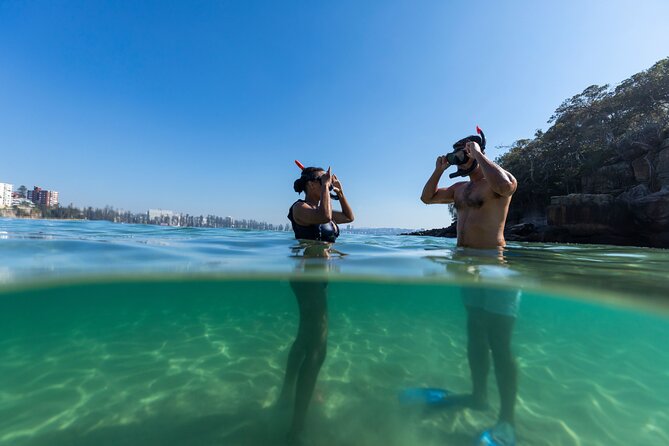 Private Sydney Snorkeling Experience: Explore Cabbage Tree Bay - Manly Meeting Point and the Easy Start at 1 Marine Parade