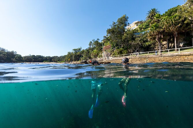 Private Sydney Snorkeling Experience: Explore Cabbage Tree Bay - A Private Snorkel at Cabbage Tree Bay, Why Shelly Beach Works