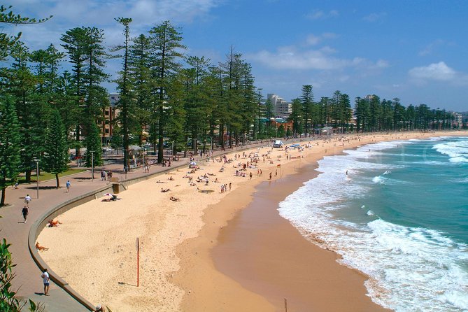 Private Sydney Tour Including Sydney Opera House, Bondi and Manly - Bondi to Manly by the Scenic Spine: Bridge, McMahons Point, and Beaches