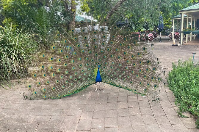 Private Tour: Blue Mountains Day Trip from Sydney - Blue Mountains Botanic Garden: a calm closer to balance the day
