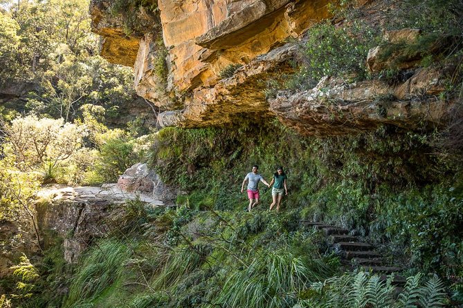 Private Tour: Blue Mountains Hiking & Nature - Price and what $536.14 covers (and what it does not)