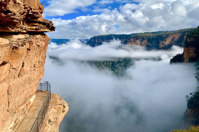 Private Tour: Blue Mountains Hiking & Nature - Hotel pickup and private transport that keeps the day moving