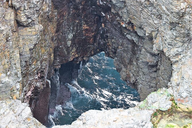 Private tour of Kiama Blowholes, Sea Cliff Bridge and Wattamolla - Key things to know before you go