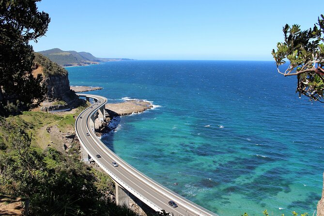 Private tour of Kiama Blowholes, Sea Cliff Bridge and Wattamolla - Price and what you actually get for $416 per person