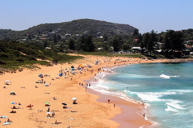 Private tour of Ku-Ring-Gai National Park and Northern Beaches - Customizing the route without breaking the flow