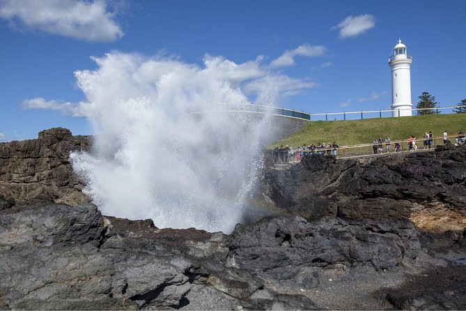 Private Tour: Sydney South Coast & Highlands - Bald Hill and Sea Cliff Bridge: Ocean Views Plus That Big-Scale Feeling