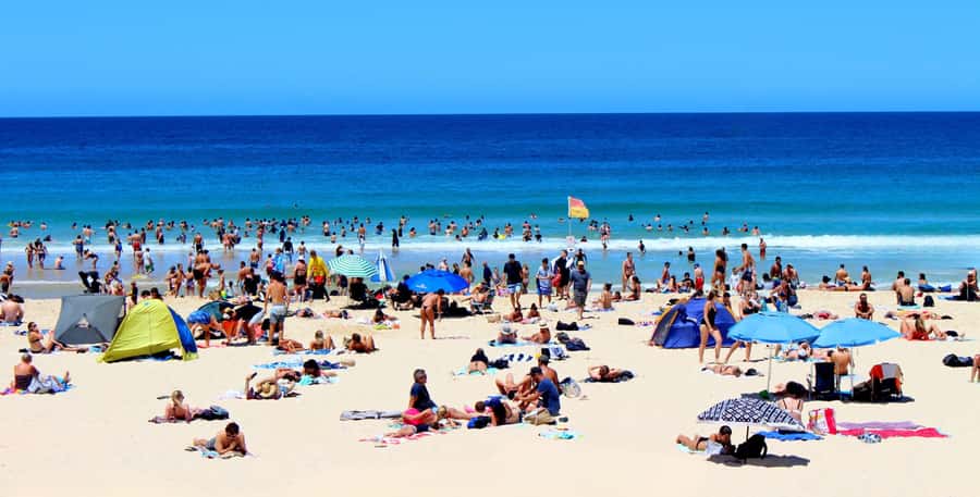 Private Tours: Full-Day Sydney City And Sightseeing Tour - Key things that make this private day tour work