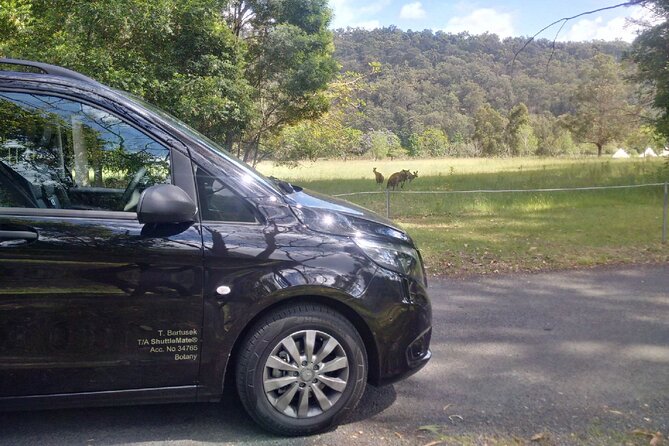Private Transfer FROM Sydney CBD to Sydney Airport 1 to 5 people - Luggage rules: five medium check in bags plus carry ons