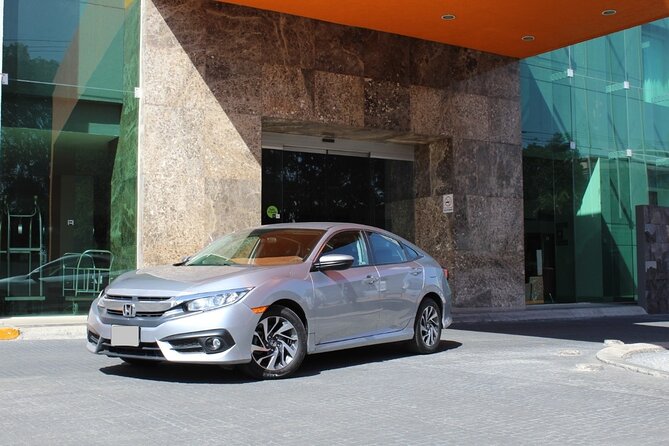 Private Transfer from Sydney City Hotel to Sydney Cruise Port - Vehicle options for groups, up to 15 passengers