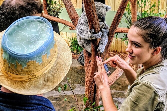 Private Wildlife Waterfalls and Wine Day Tour from Sydney - Symbio Wildlife Park and the private koala experience