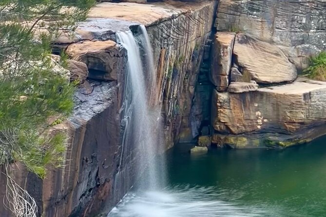 Royal National Park Hike, Swim and Wildlife Tour - Key takeaways before you go