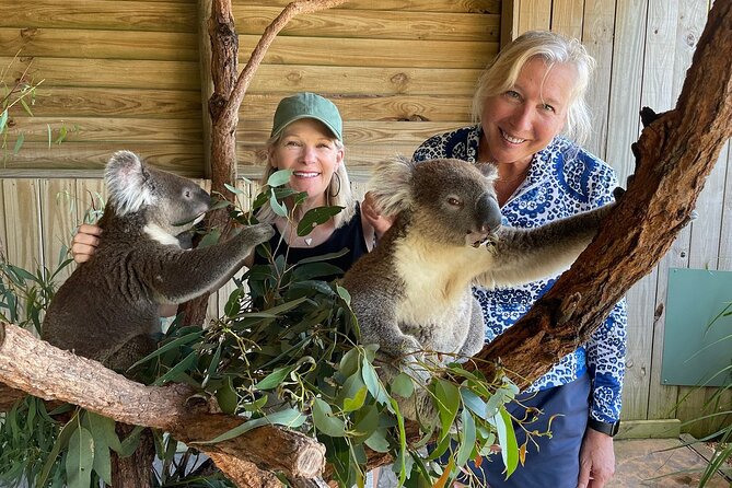 Royal National Park Hike, Swim and Wildlife Tour - Audley and Kangaroo Creek: coffee in a scenic pause